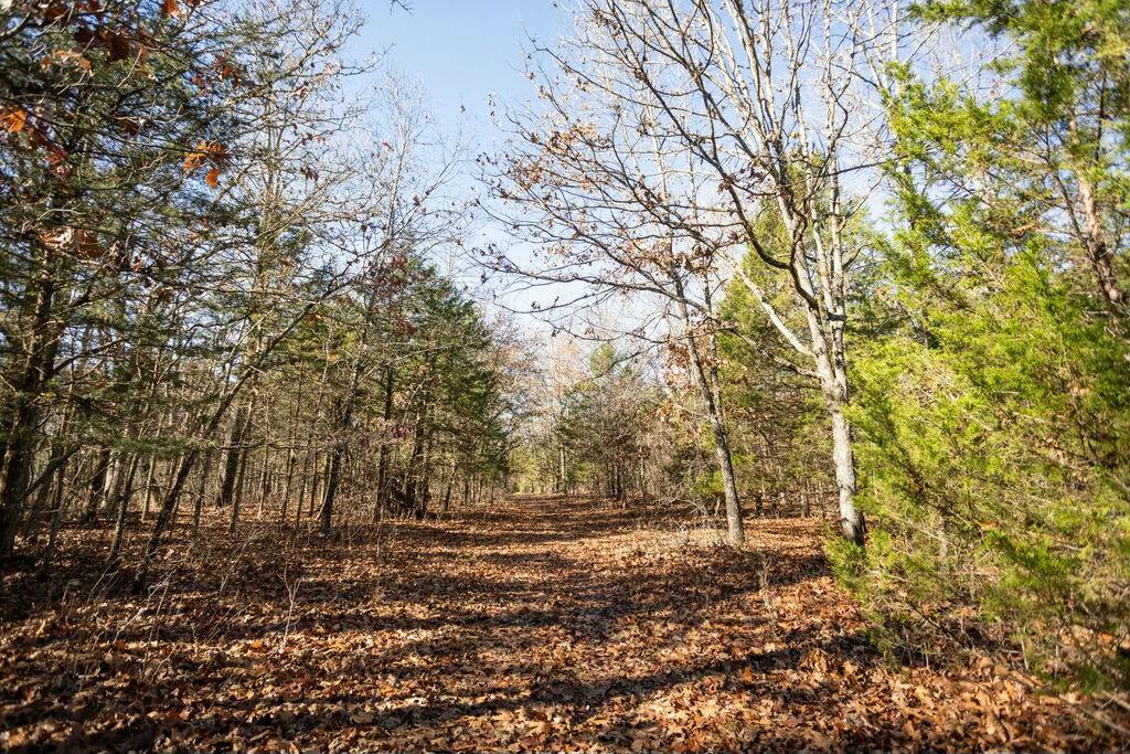 000 County Road A-100 Property Photo 30