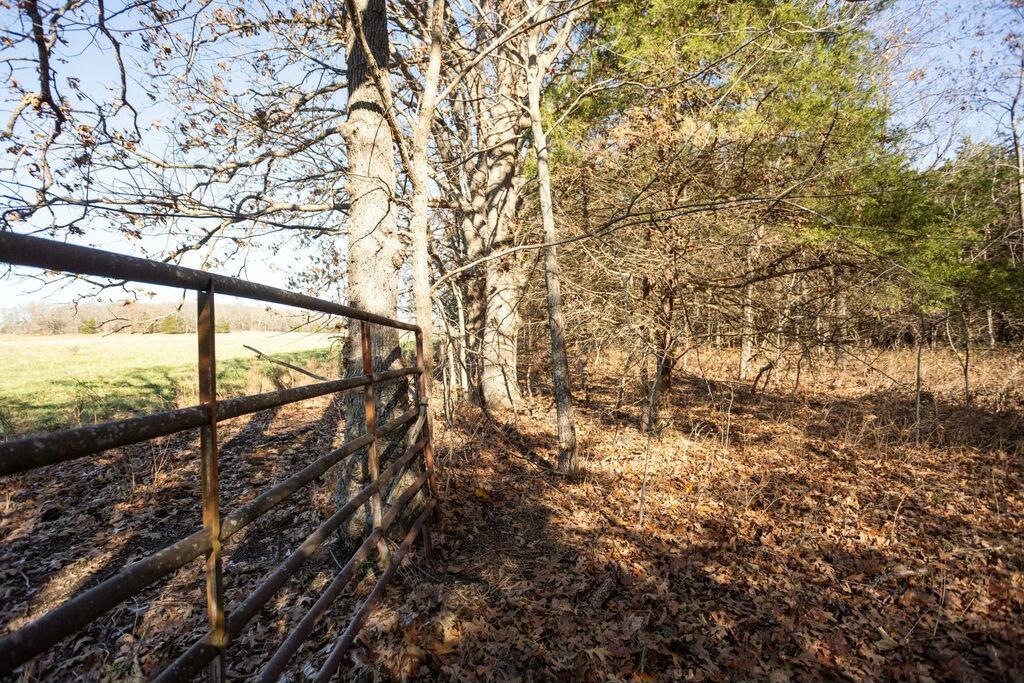 000 County Road A-100 Property Photo 31
