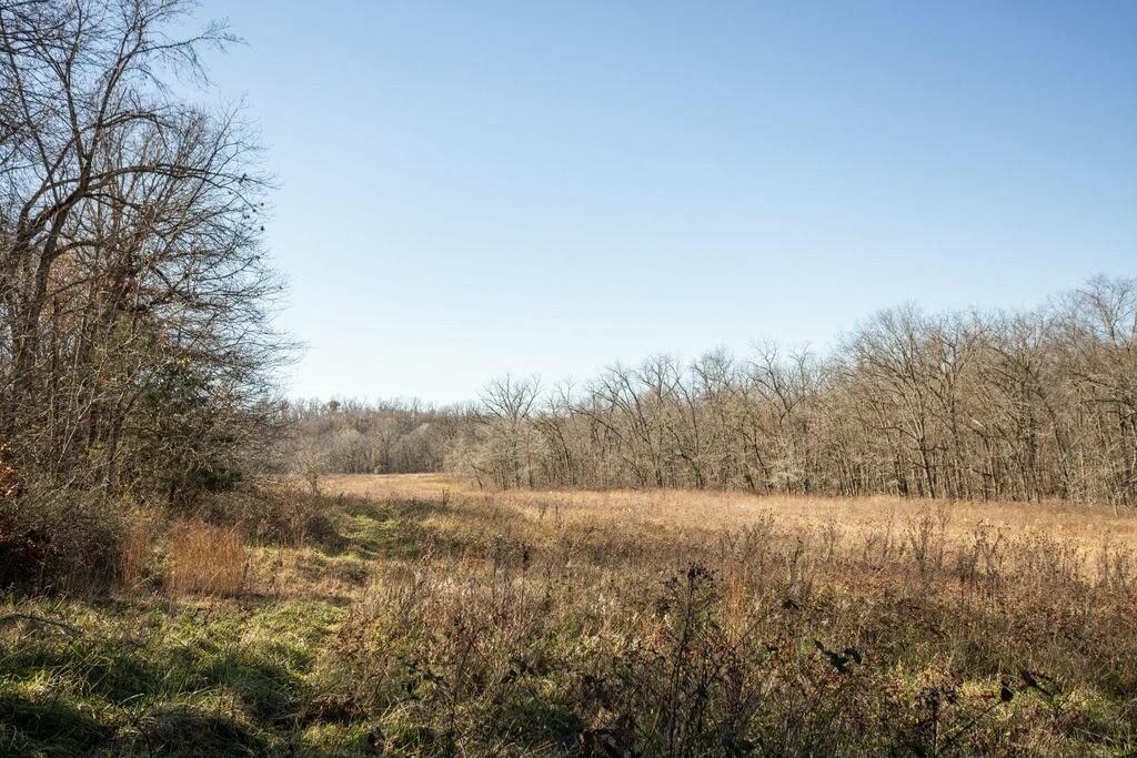 000 County Road A-100 Property Photo 37