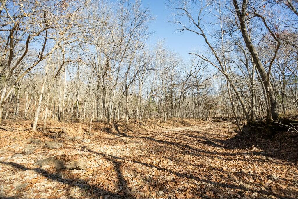 000 County Road A-100 Property Photo 40