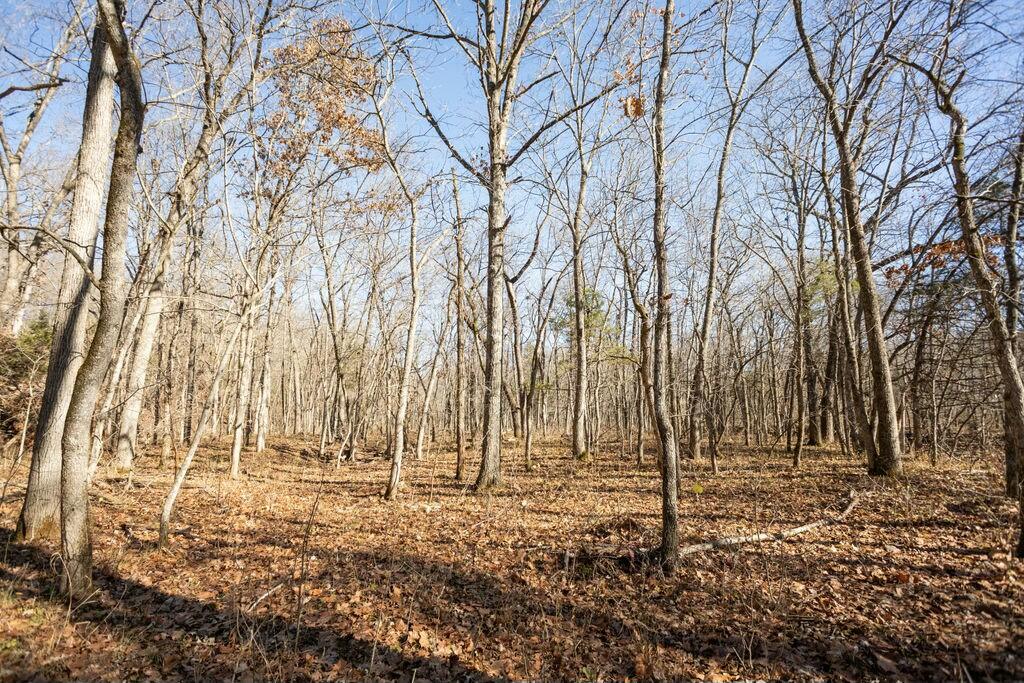 000 County Road A-100 Property Photo 41