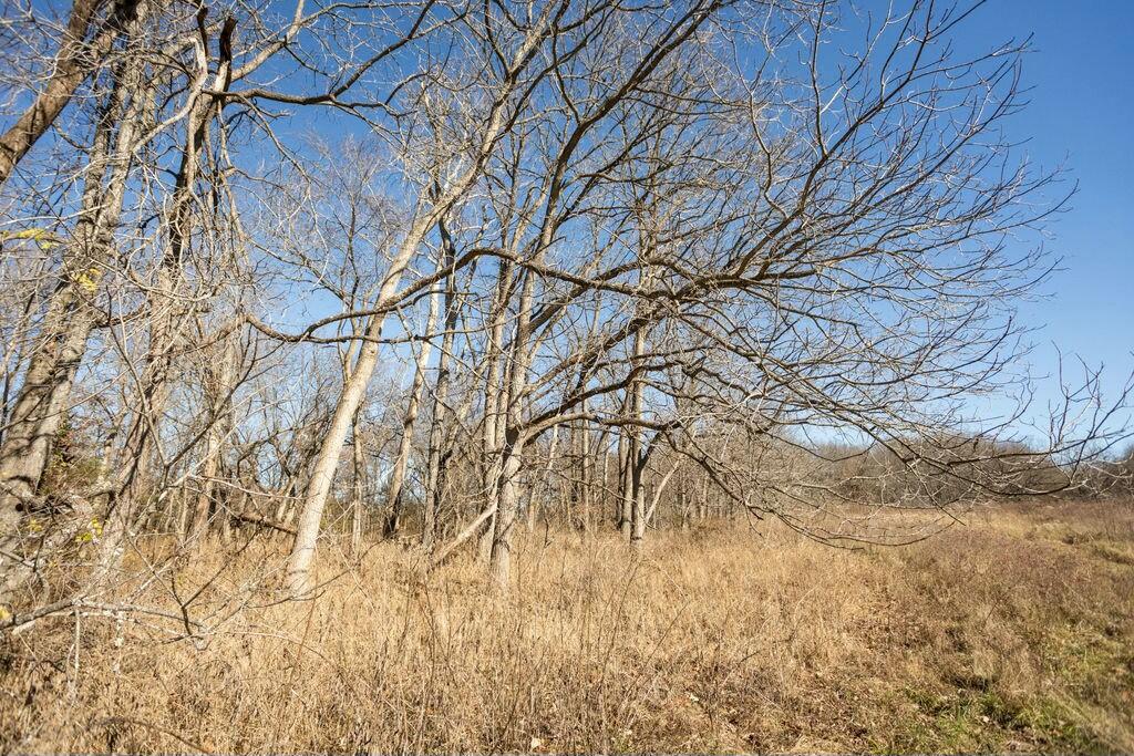 000 County Road A-100 Property Photo 42