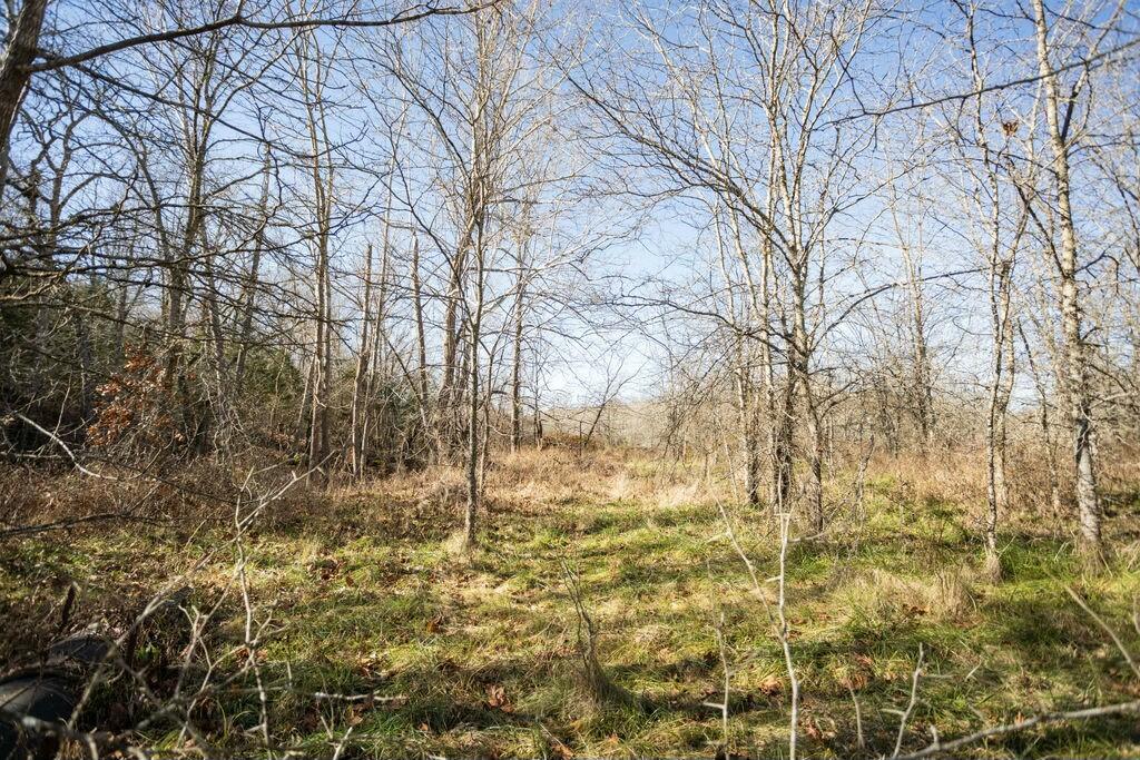 000 County Road A-100 Property Photo 46
