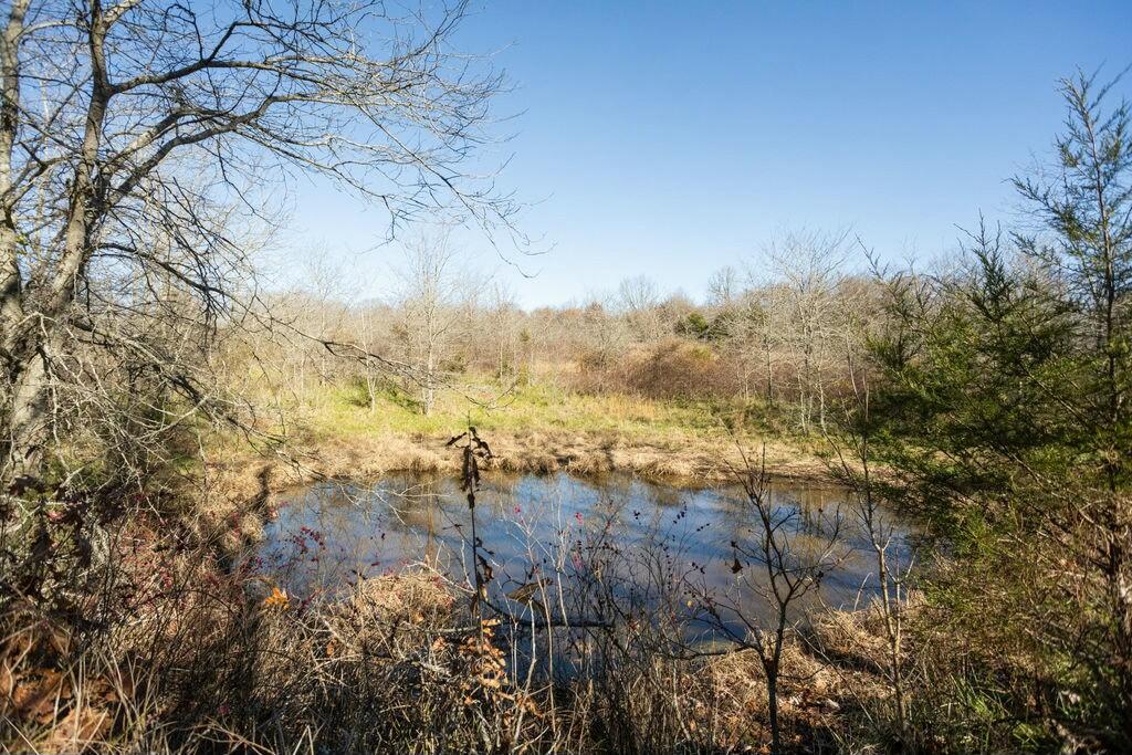 000 County Road A-100 Property Photo 48