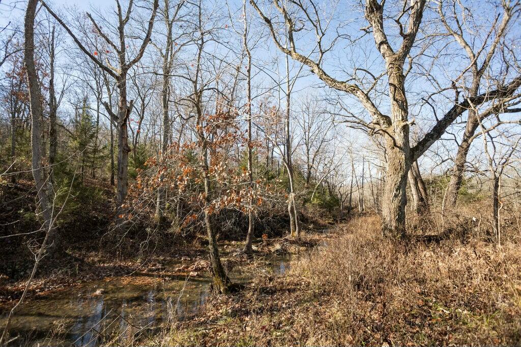 000 County Road A-100 Property Photo 49