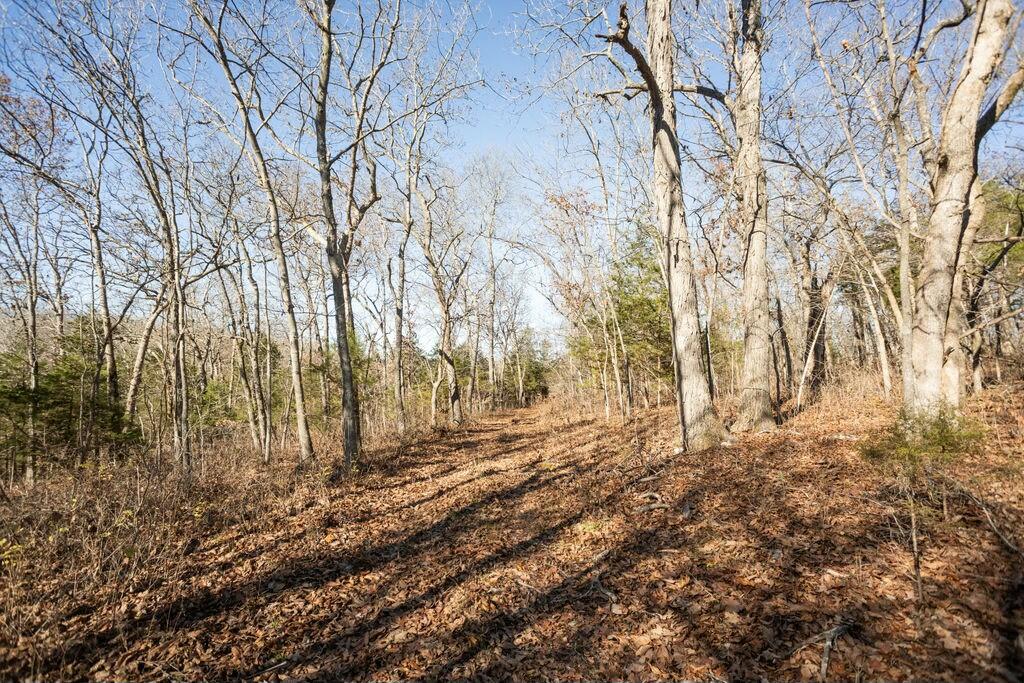 000 County Road A-100 Property Photo 54
