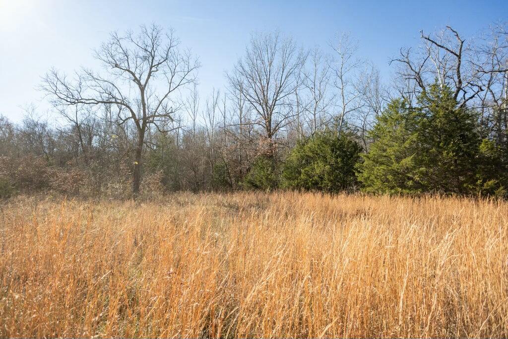 000 County Road A-100 Property Photo 55