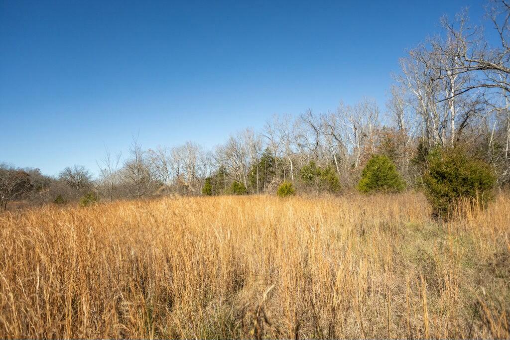 000 County Road A-100 Property Photo 57