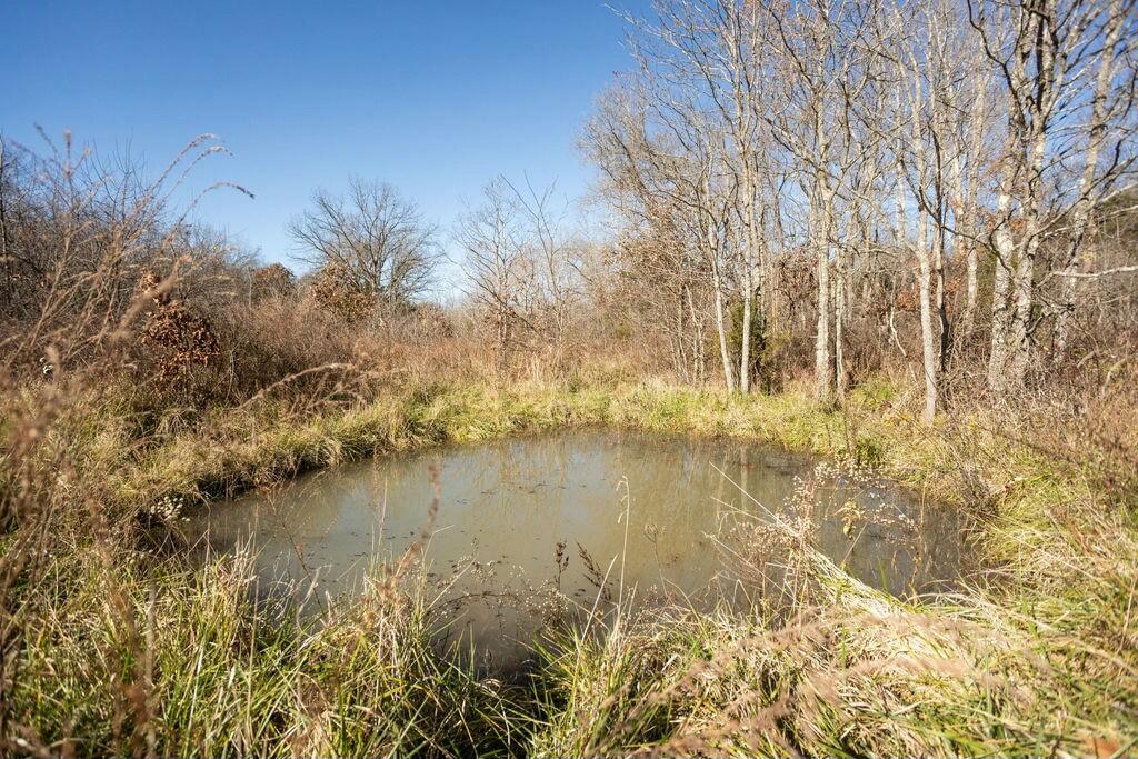 000 County Road A-100 Property Photo 58