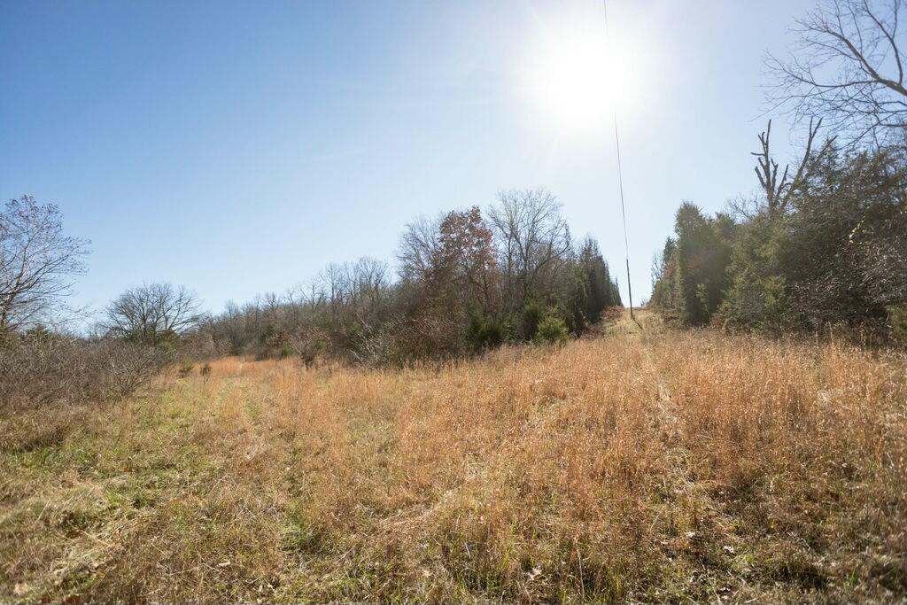 000 County Road A-100 Property Photo 59