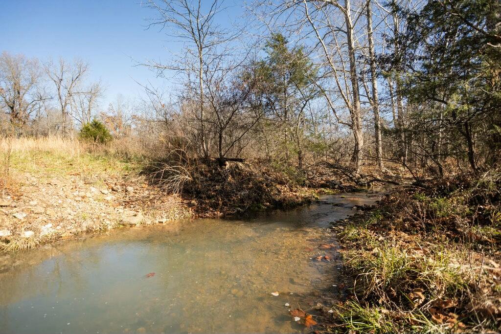000 County Road A-100 Property Photo 60
