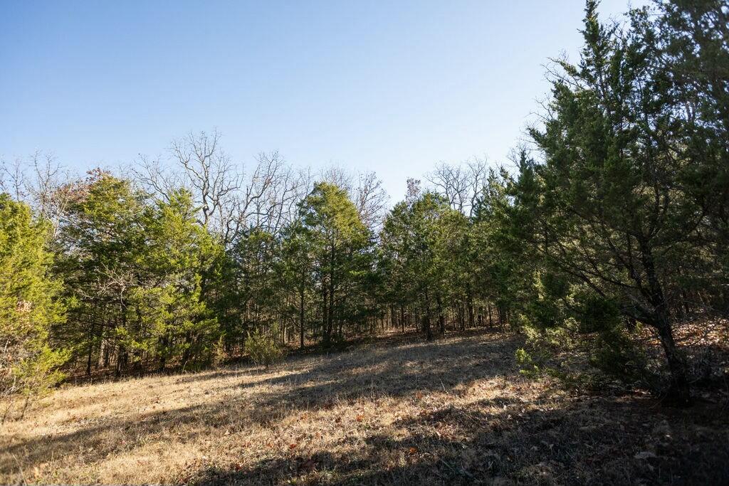000 County Road A-100 Property Photo 61