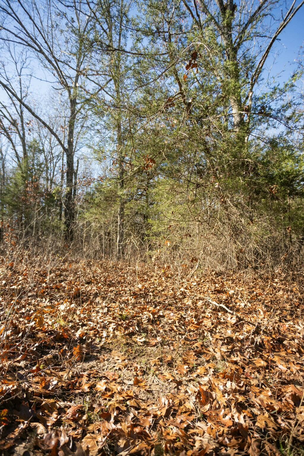000 County Road A-100 Property Photo 63