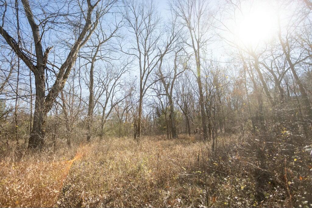 000 County Road A-100 Property Photo 65