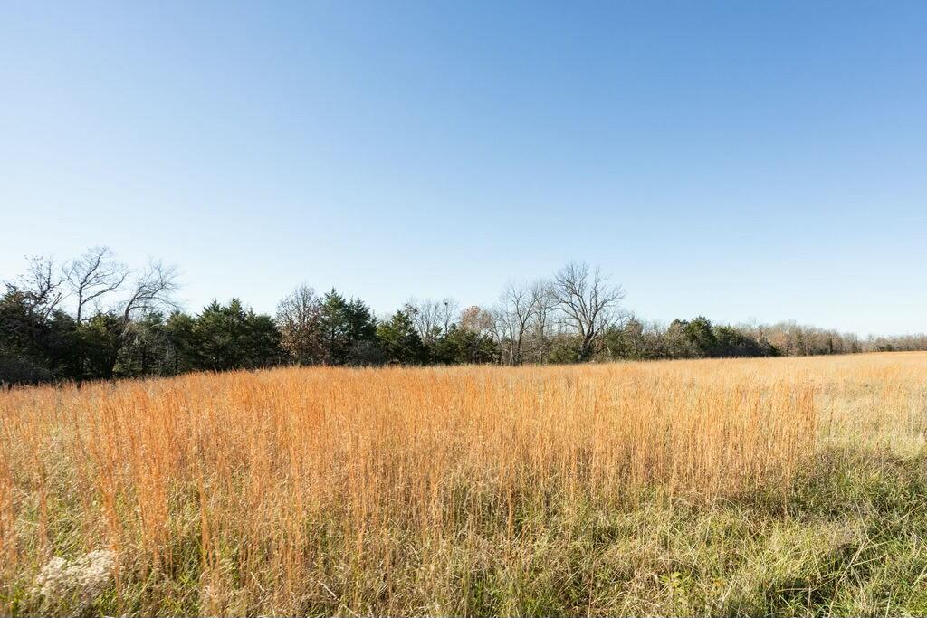 000 County Road A-100 Property Photo 66