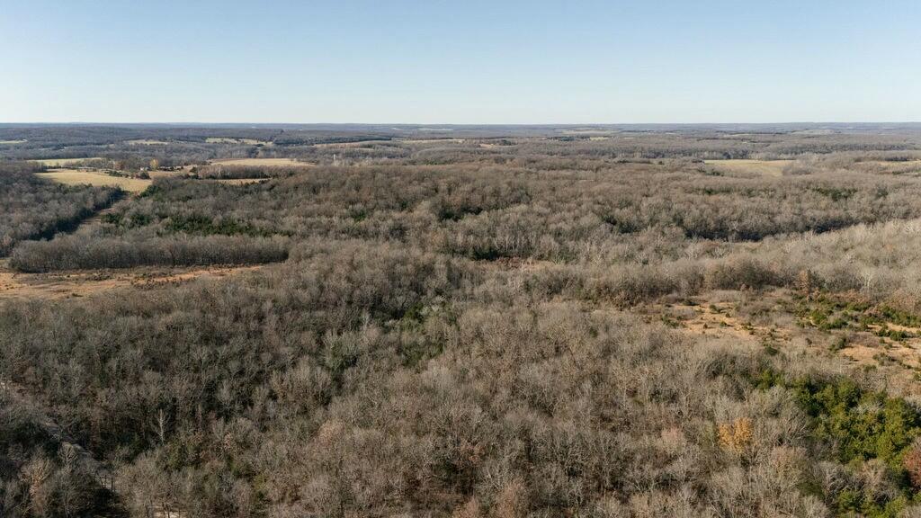 000 County Road A-100 Property Photo 72