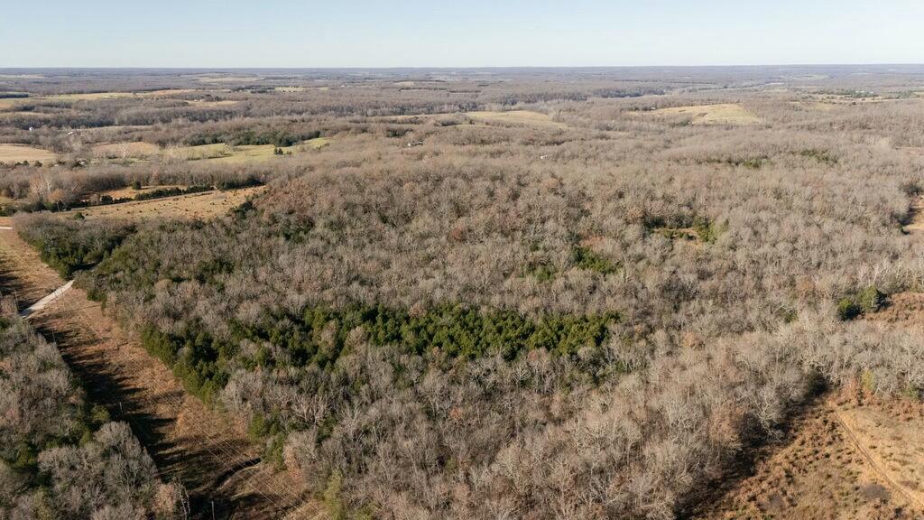 000 County Road A-100 Property Photo 76