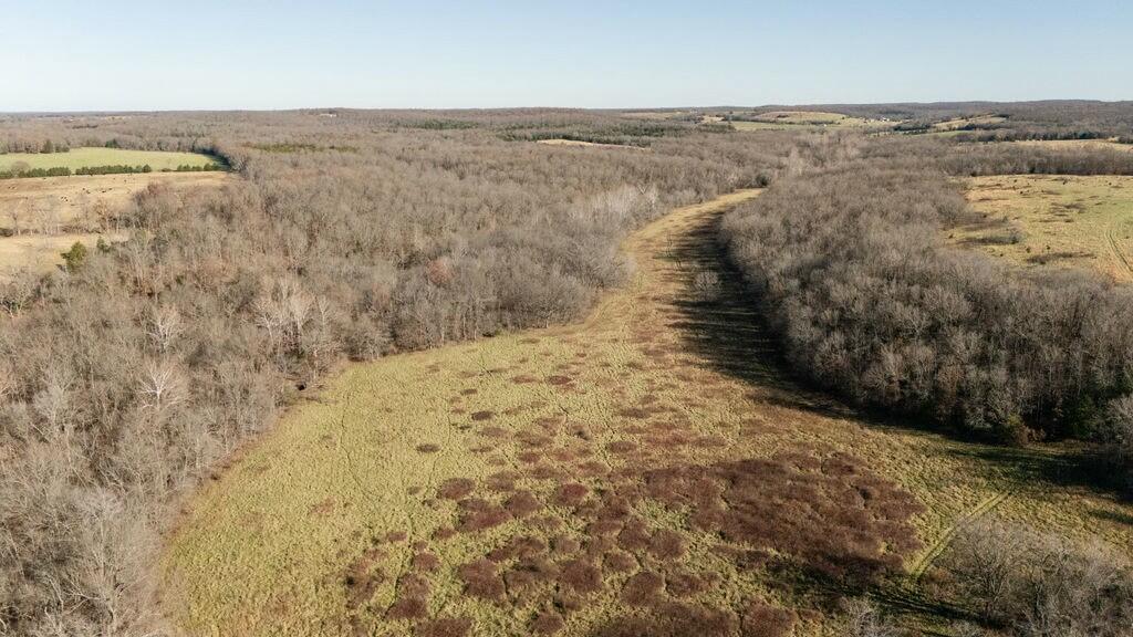 000 County Road A-100 Property Photo 83