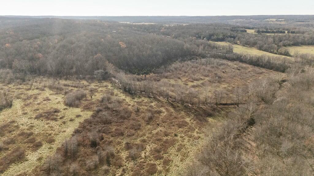 000 County Road A-100 Property Photo 85