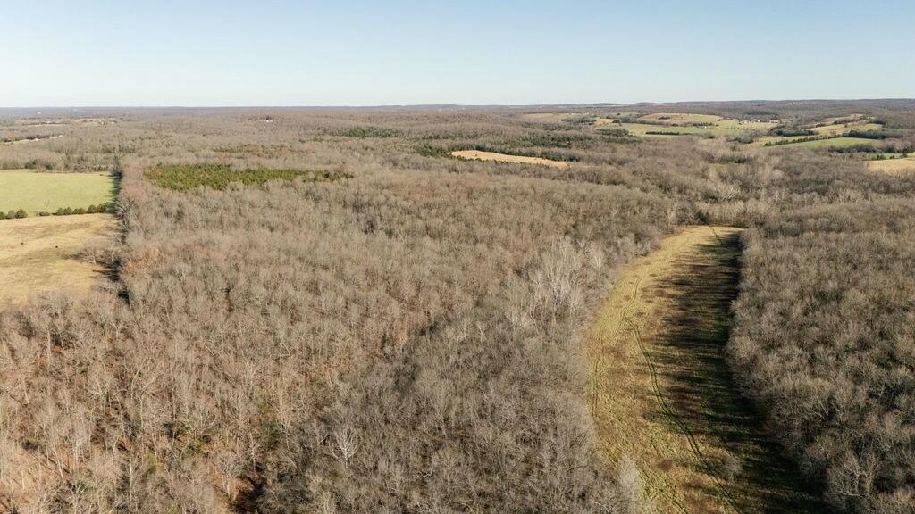 000 County Road A-100 Property Photo 86