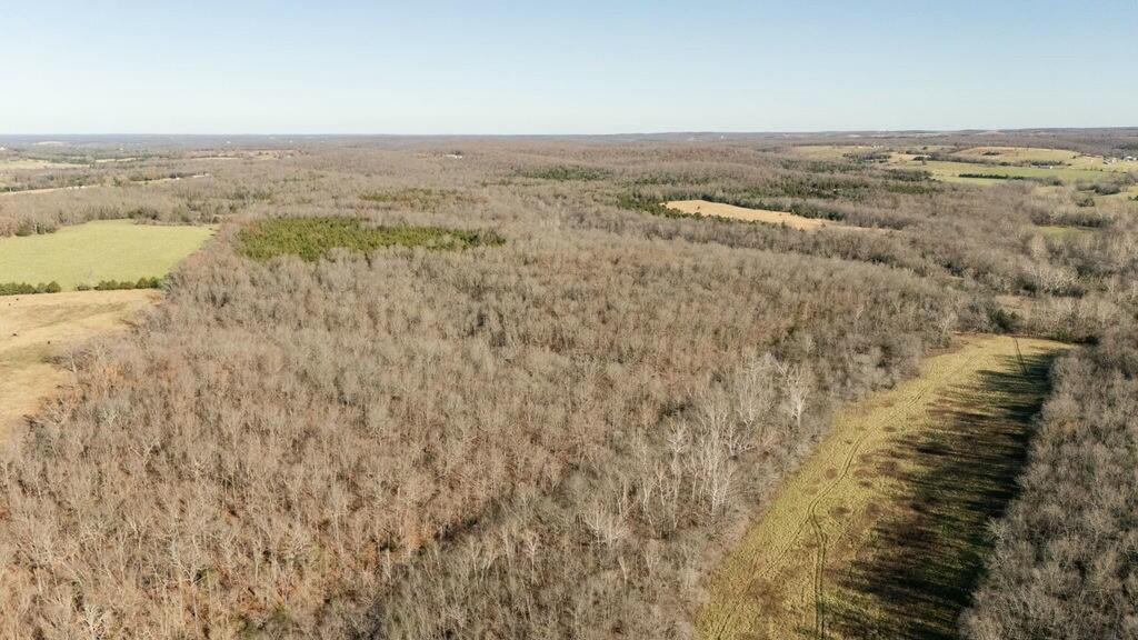 000 County Road A-100 Property Photo 87