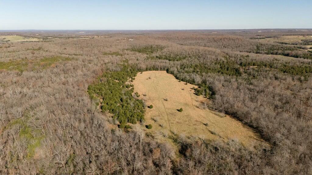 000 County Road A-100 Property Photo 98