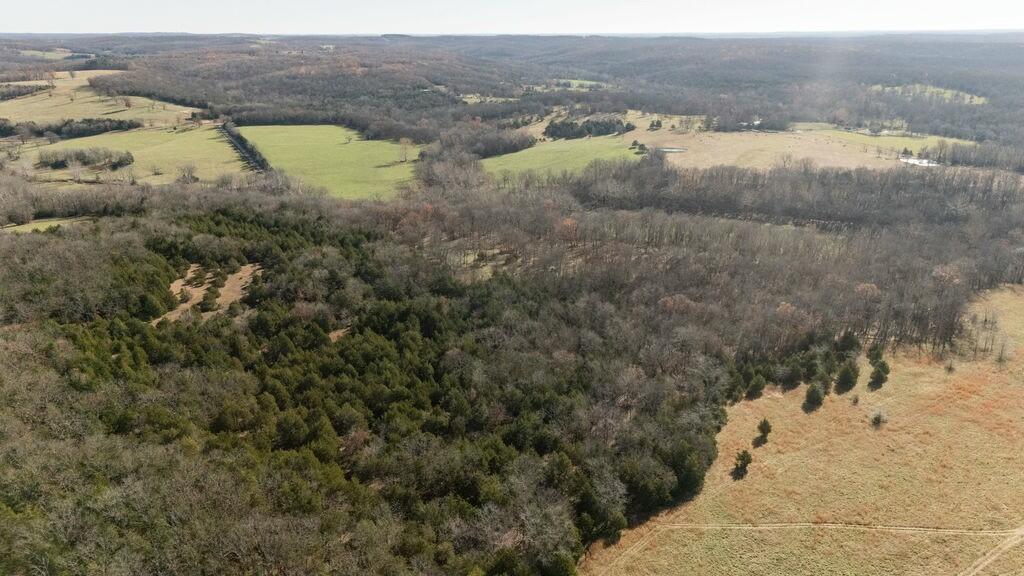 000 County Road A-100 Property Photo 104