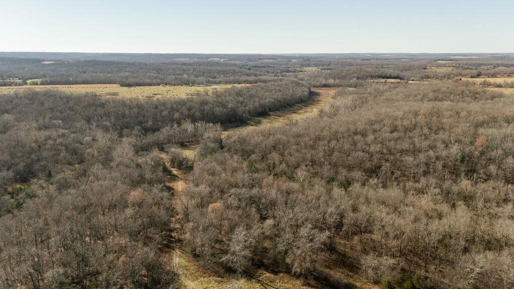 000 County Road A-100 Property Photo 106