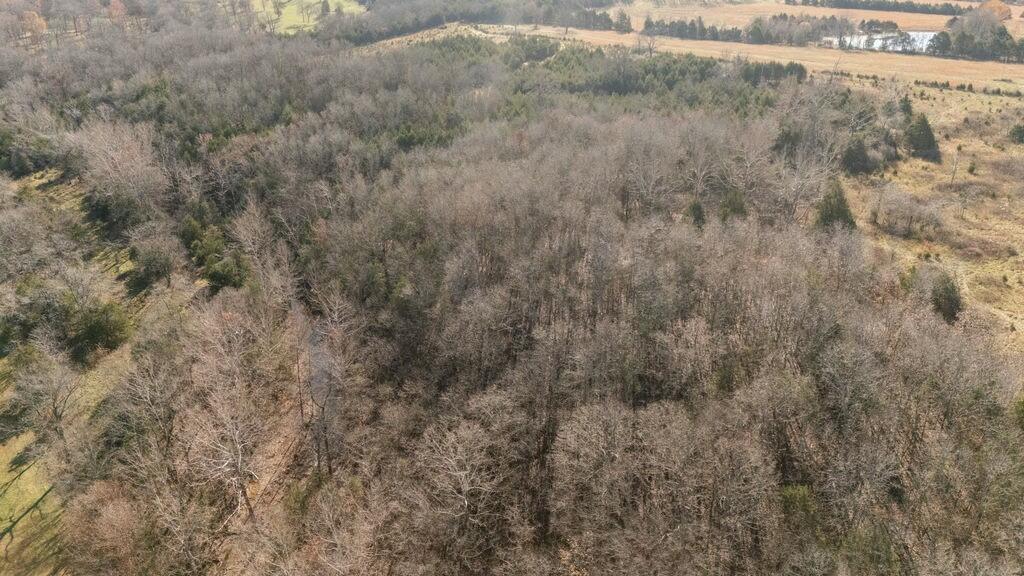 000 County Road A-100 Property Photo 110