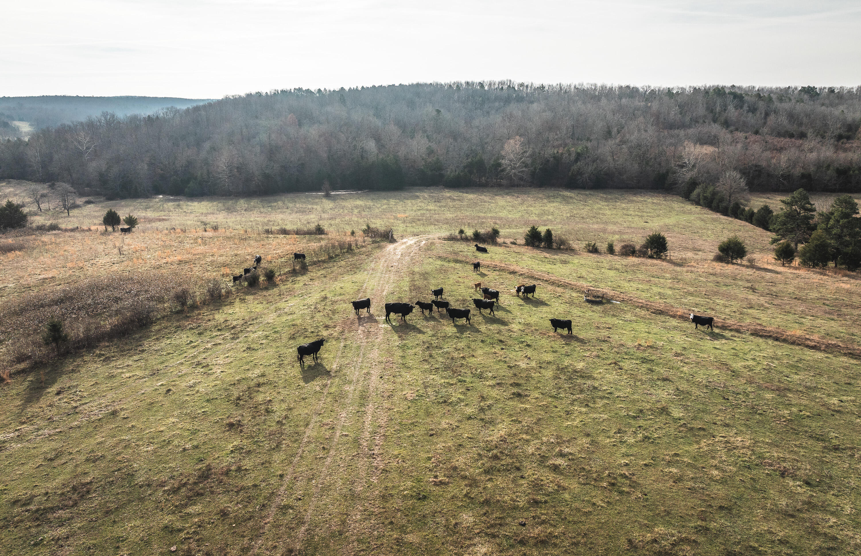 20680 Highway 32 Property Photo 48