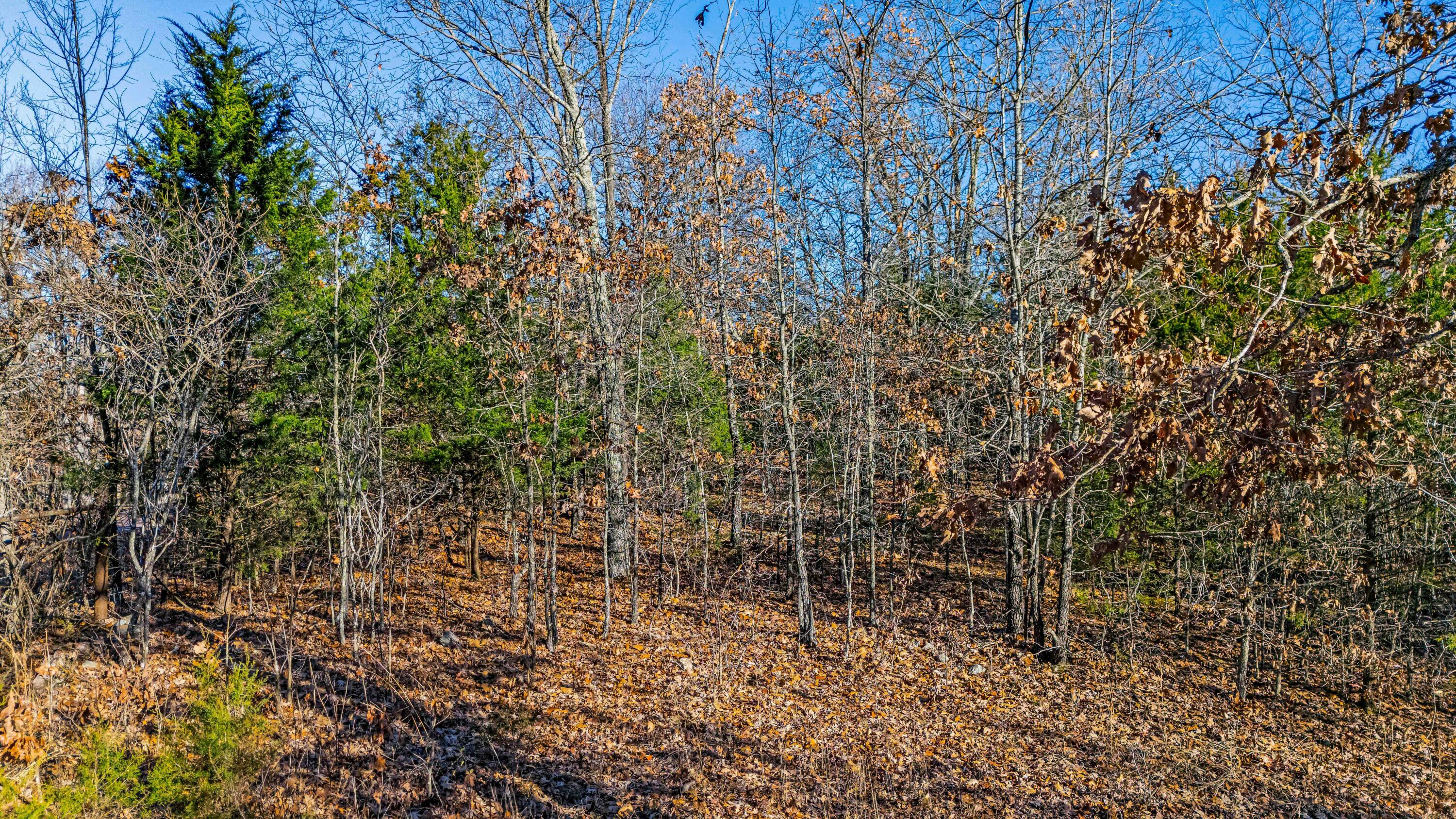 000 Highway Hh Property Photo 13