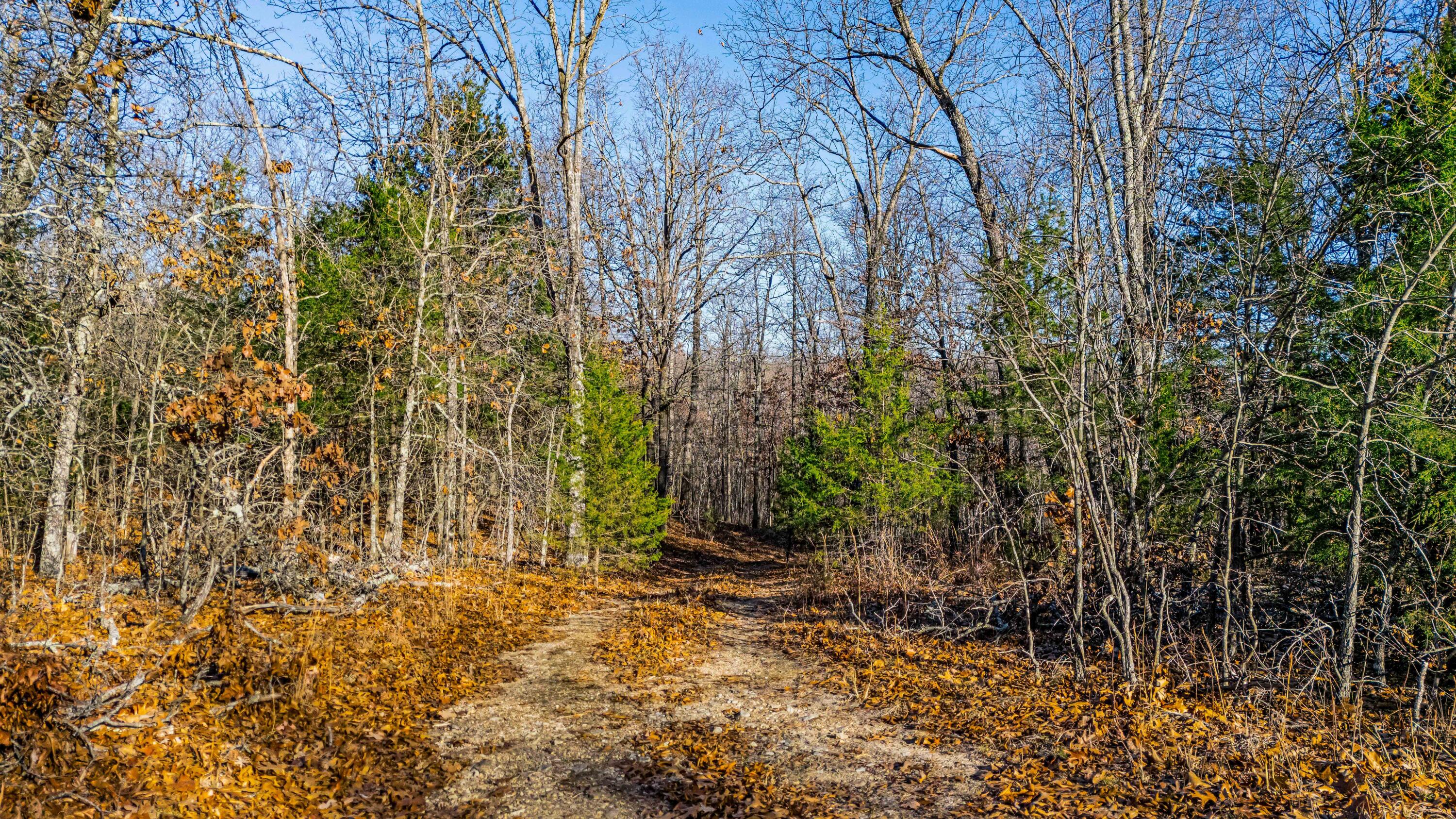 000 Highway Hh Property Photo 17