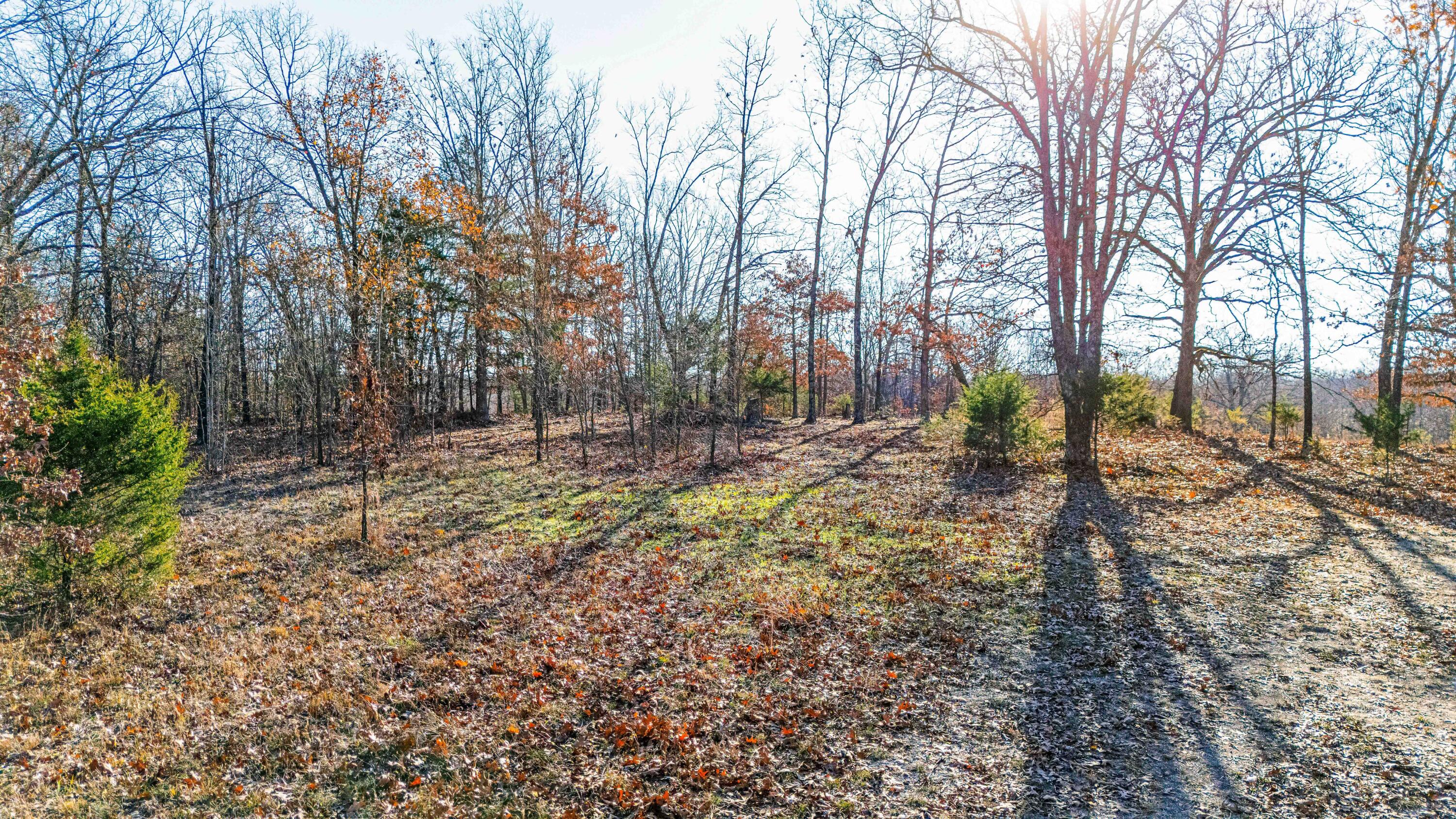 000 Highway Hh Property Photo 18