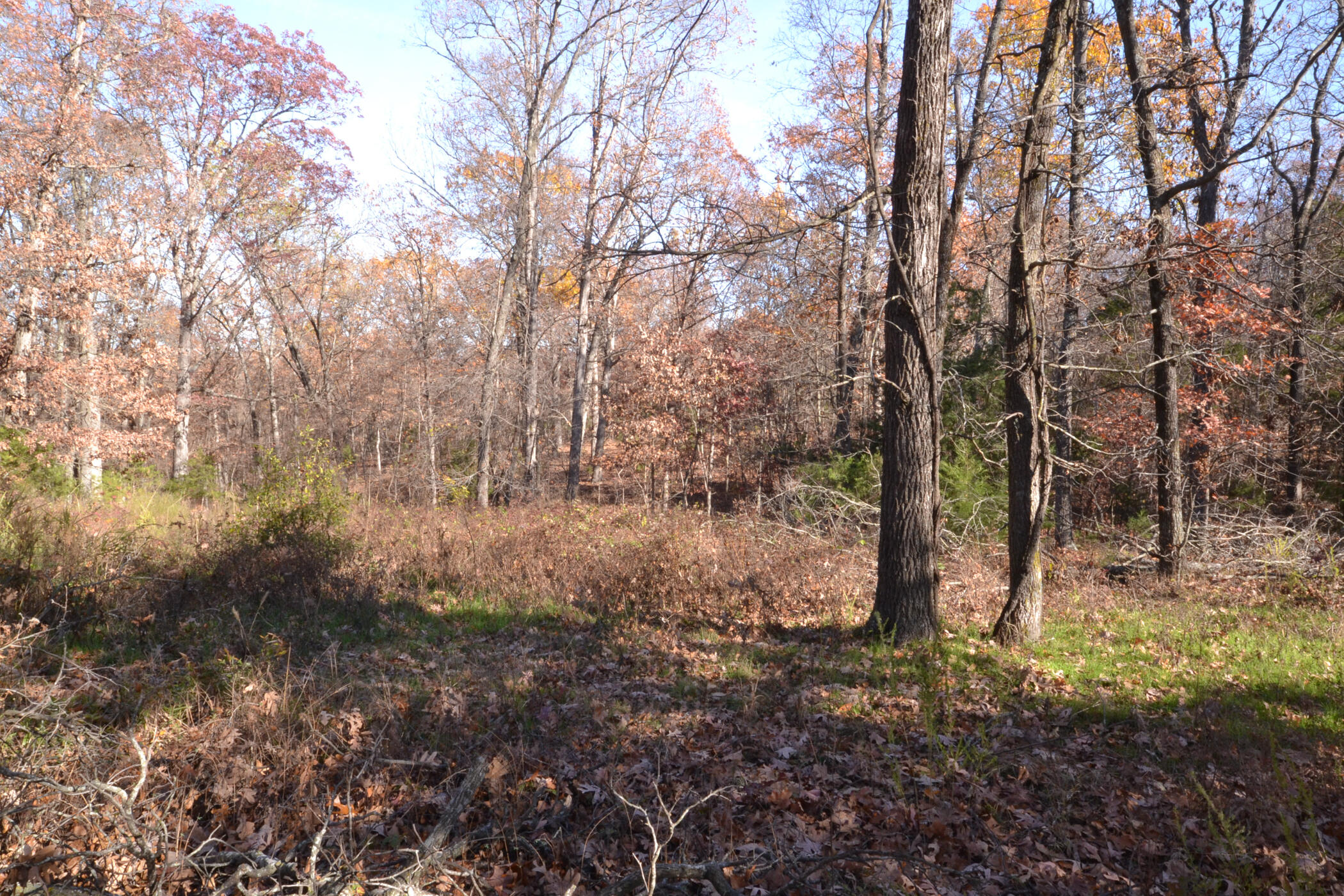 000 East 2501 Road Property Photo 19