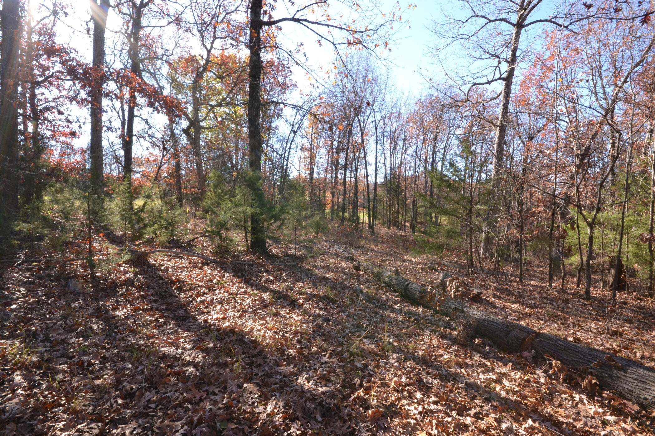 000 East 2501 Road Property Photo 20