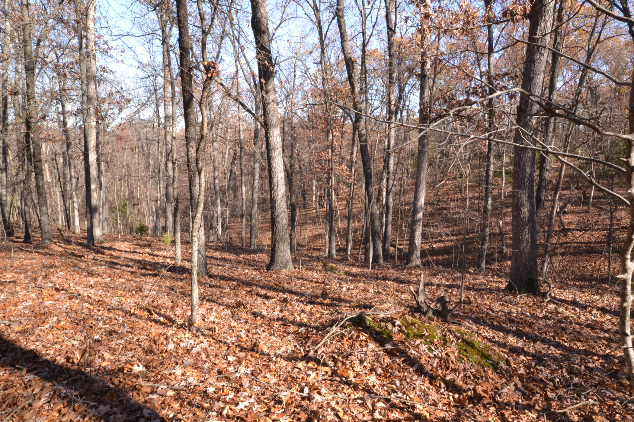 000 East 2501 Road Property Photo 21