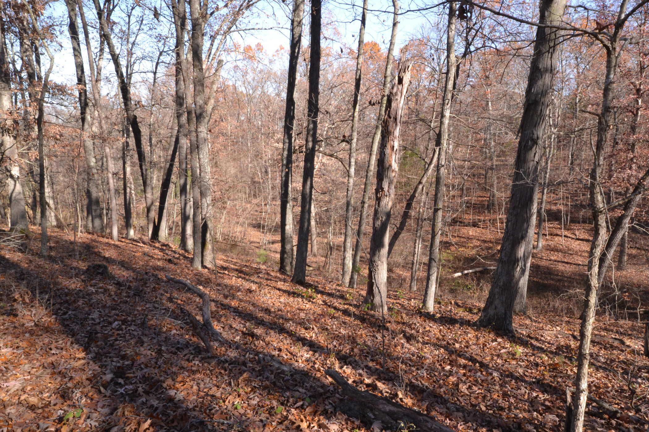 000 East 2501 Road Property Photo 22