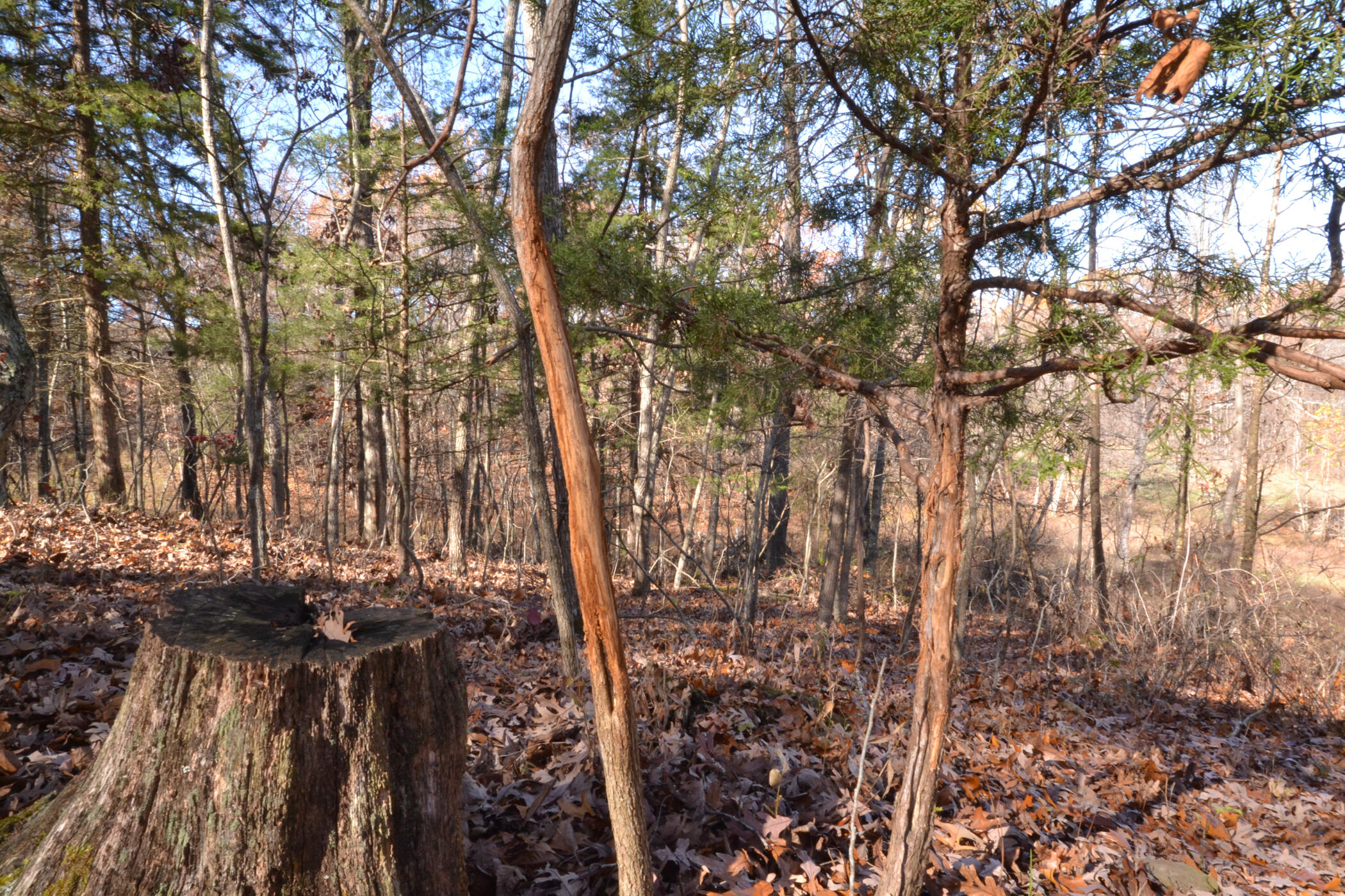 000 East 2501 Road Property Photo 23