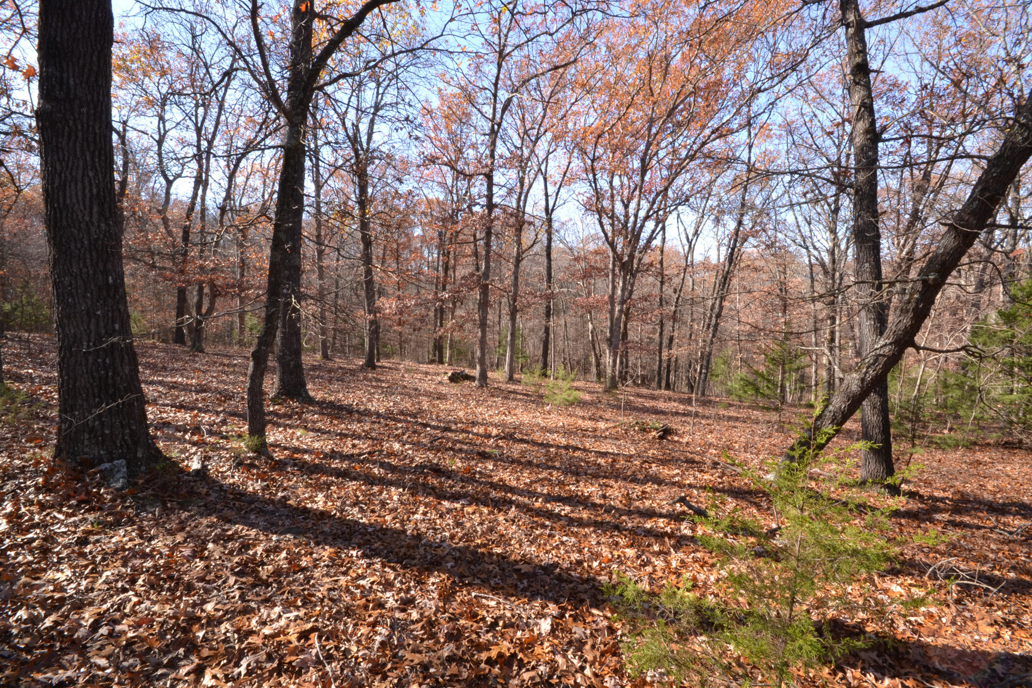000 East 2501 Road Property Photo 25