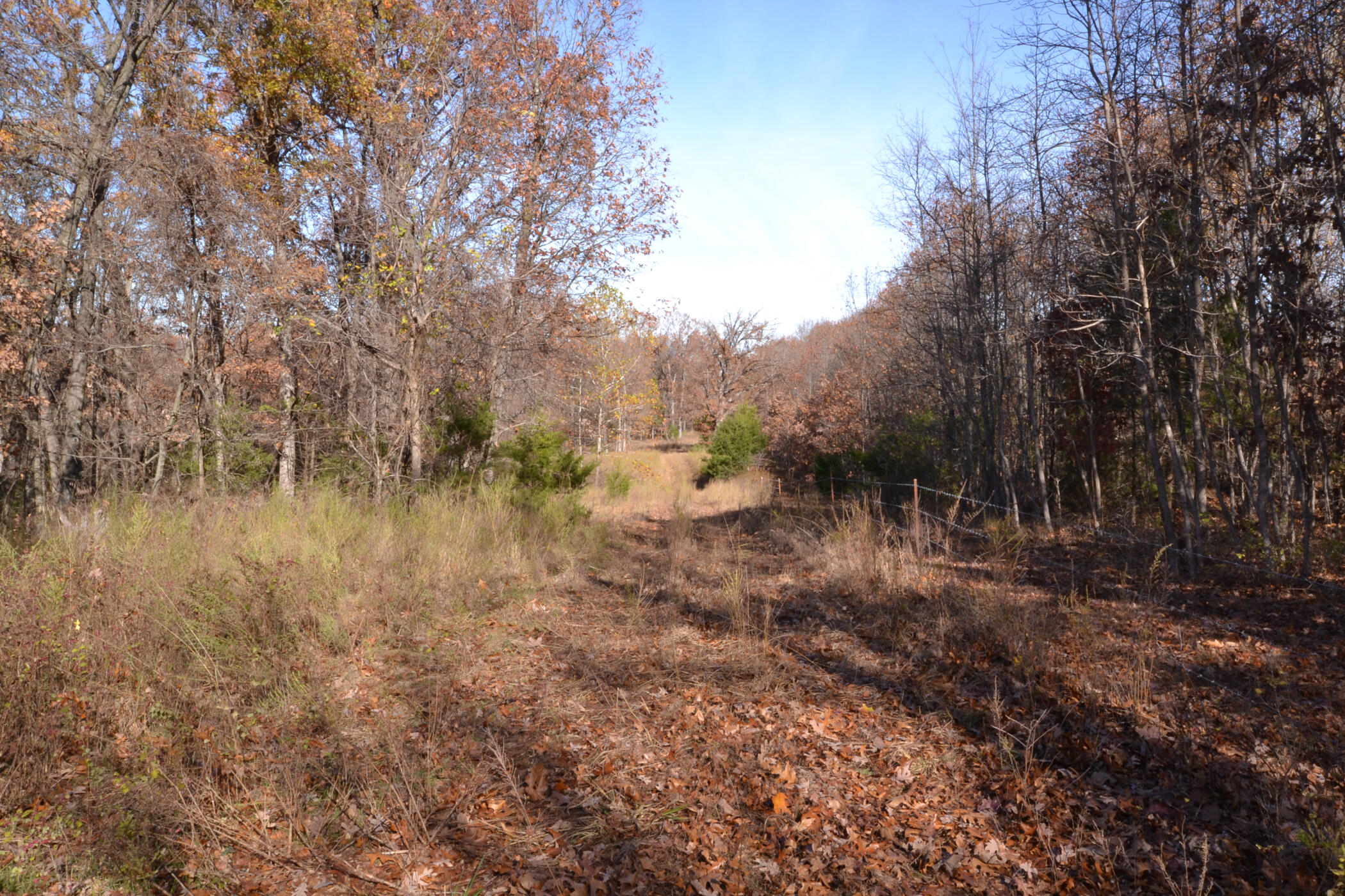 000 East 2501 Road Property Photo 26