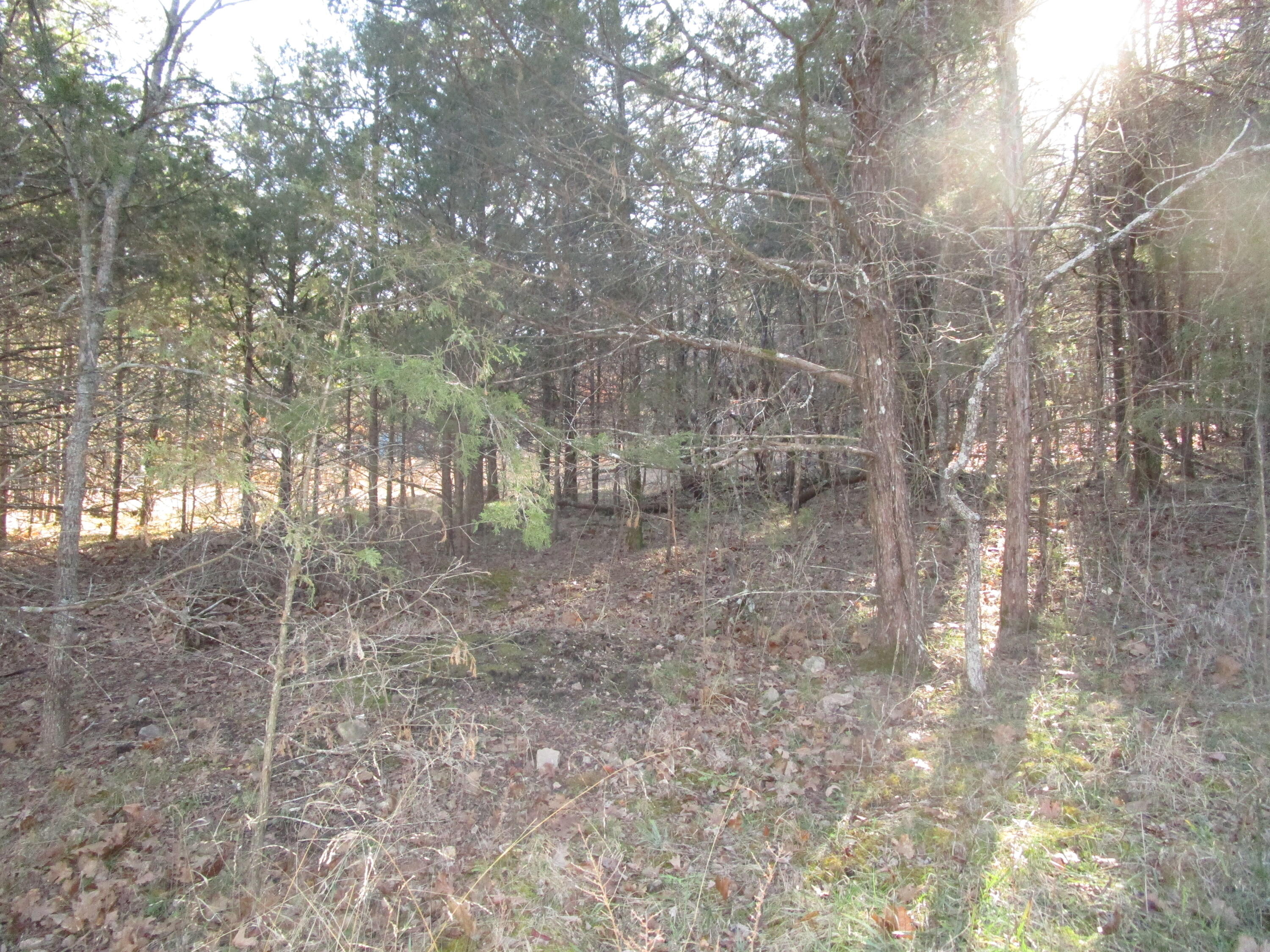 000 East Mockingbird Property Photo 4
