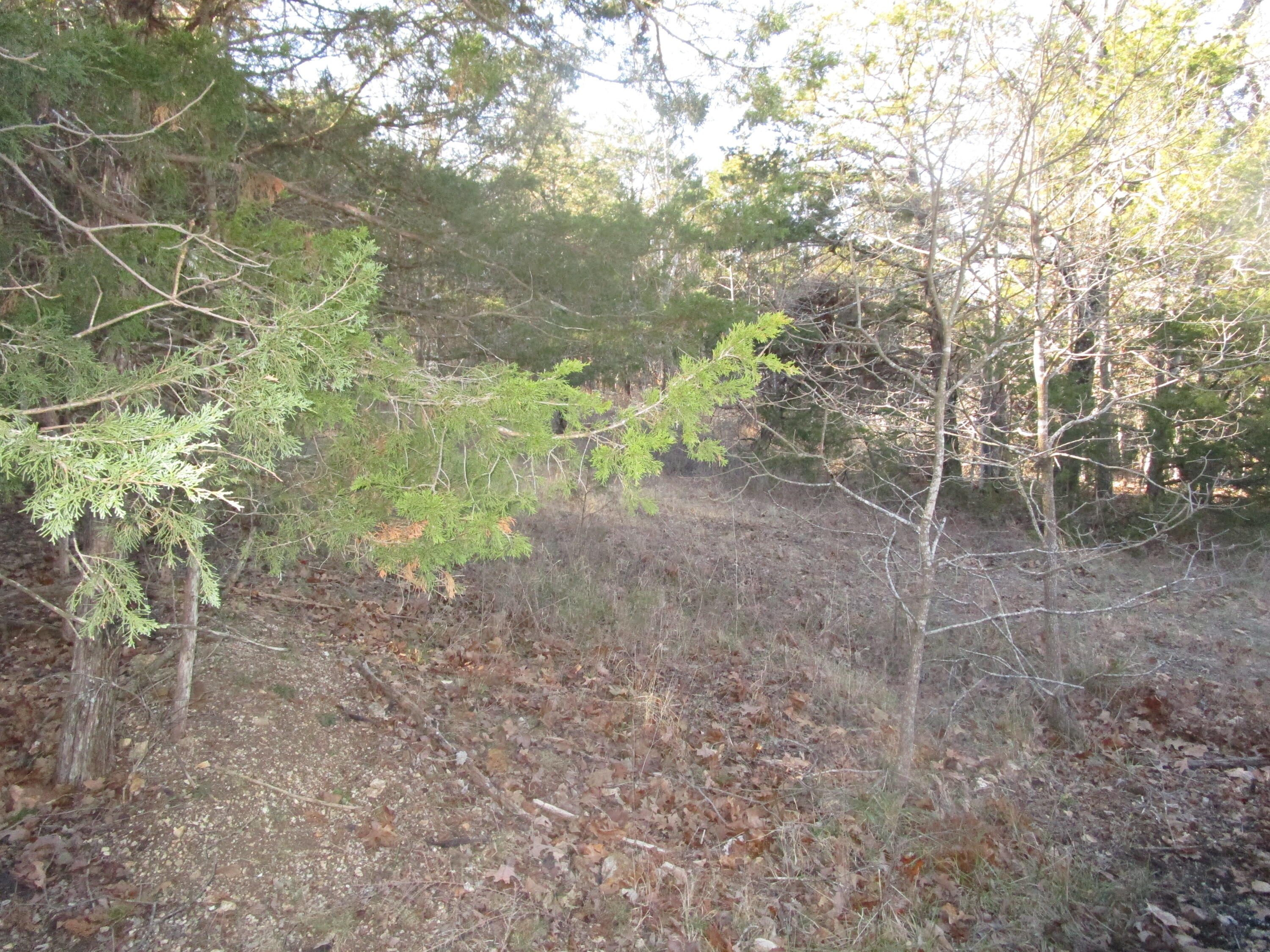 000 East Mockingbird Property Photo 5