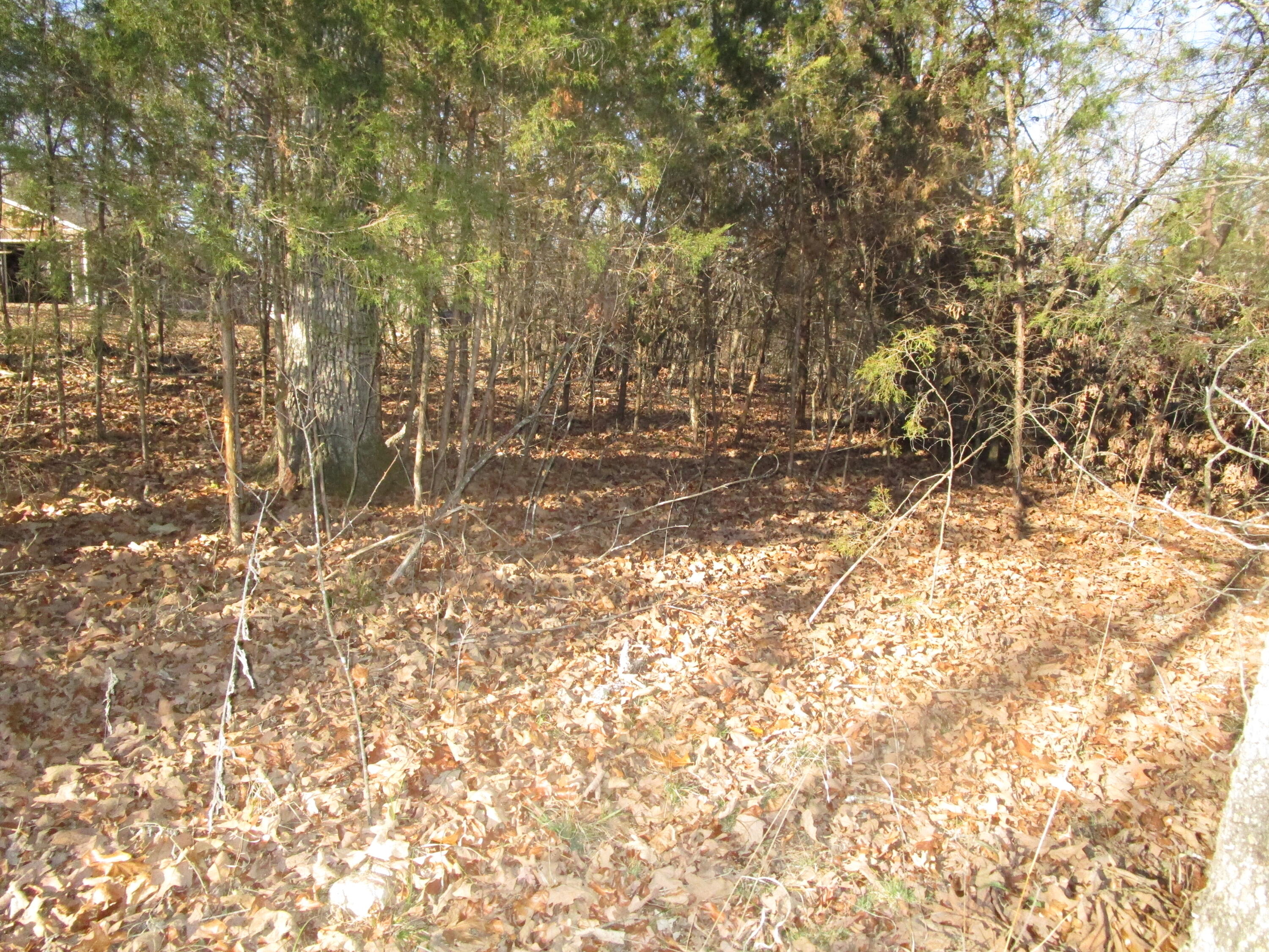 000 East Mockingbird Property Photo 8