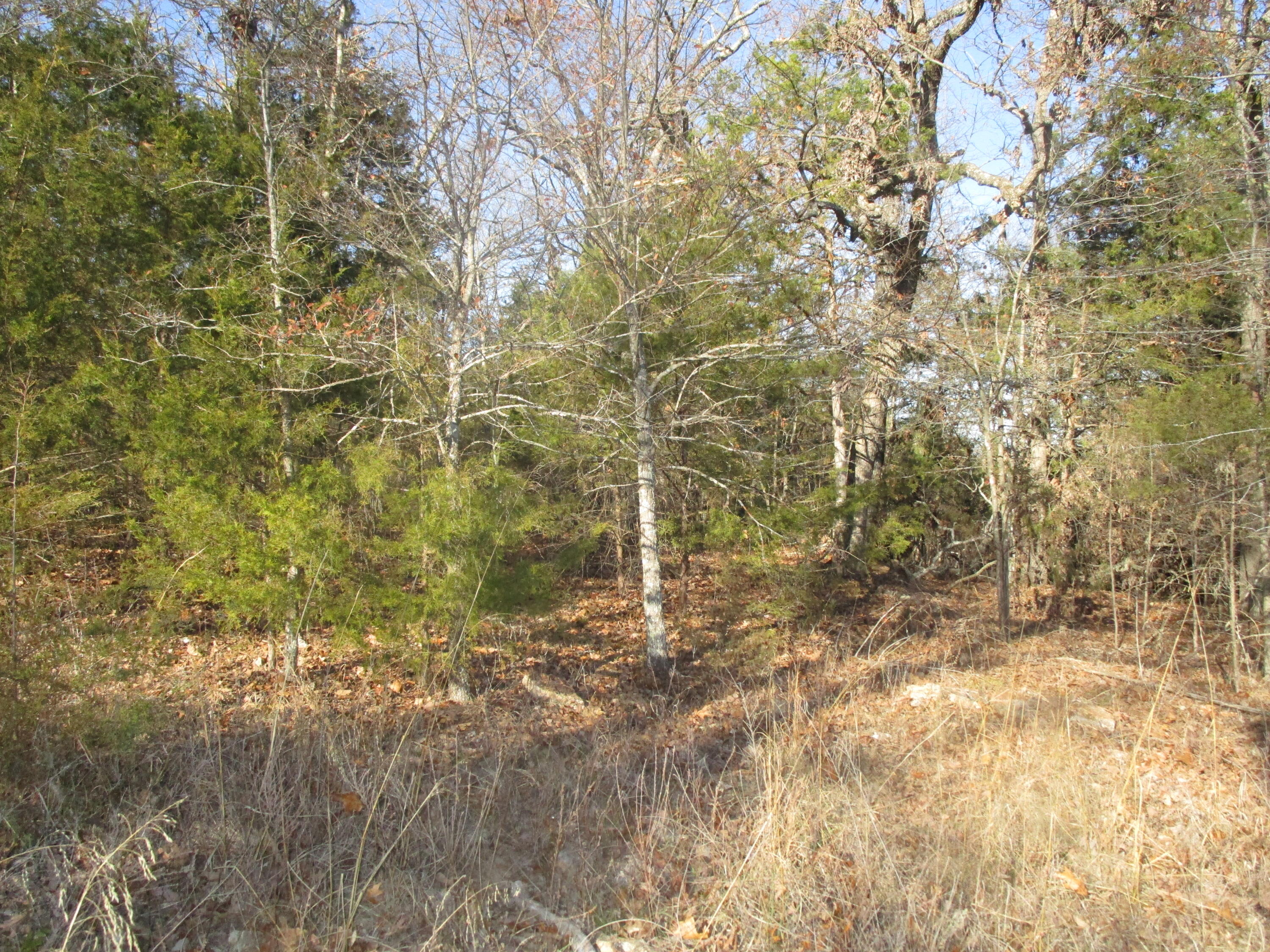 000 East Mockingbird Property Photo 10