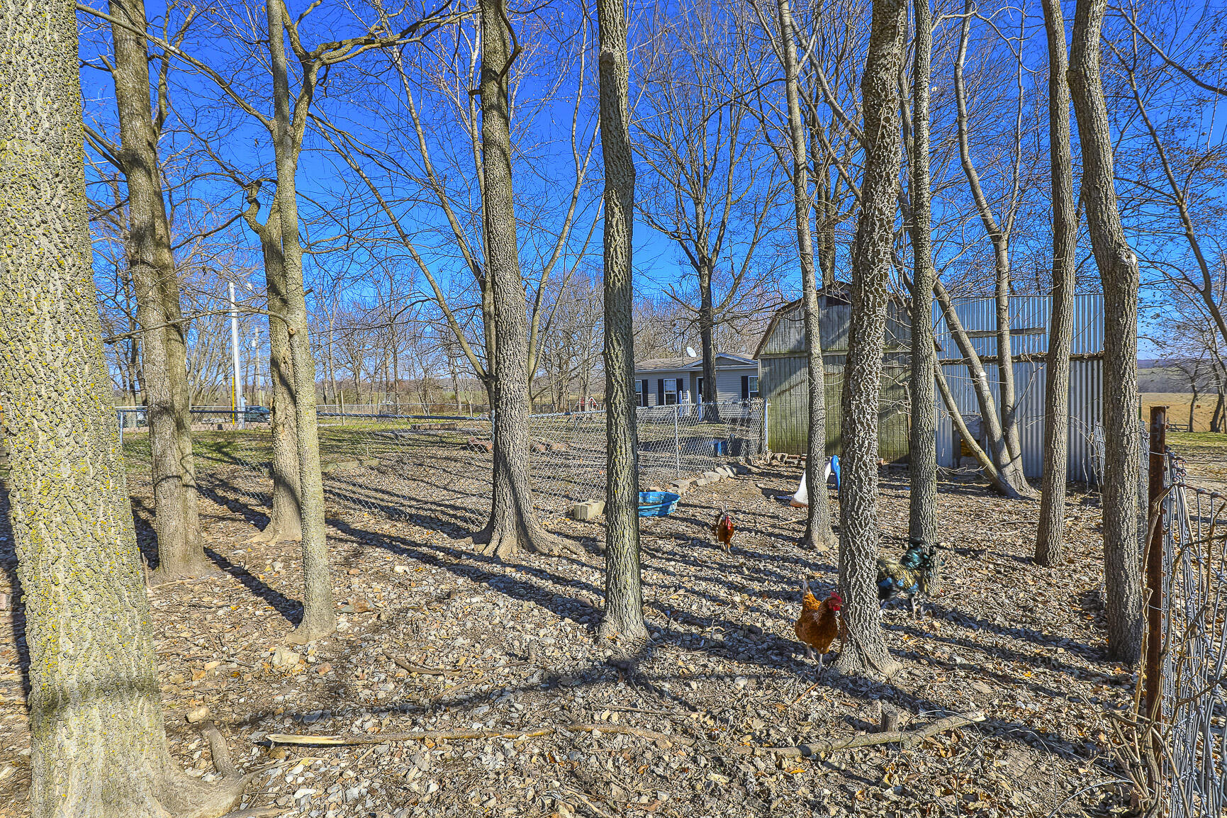 7410 State Highway M Property Photo 39