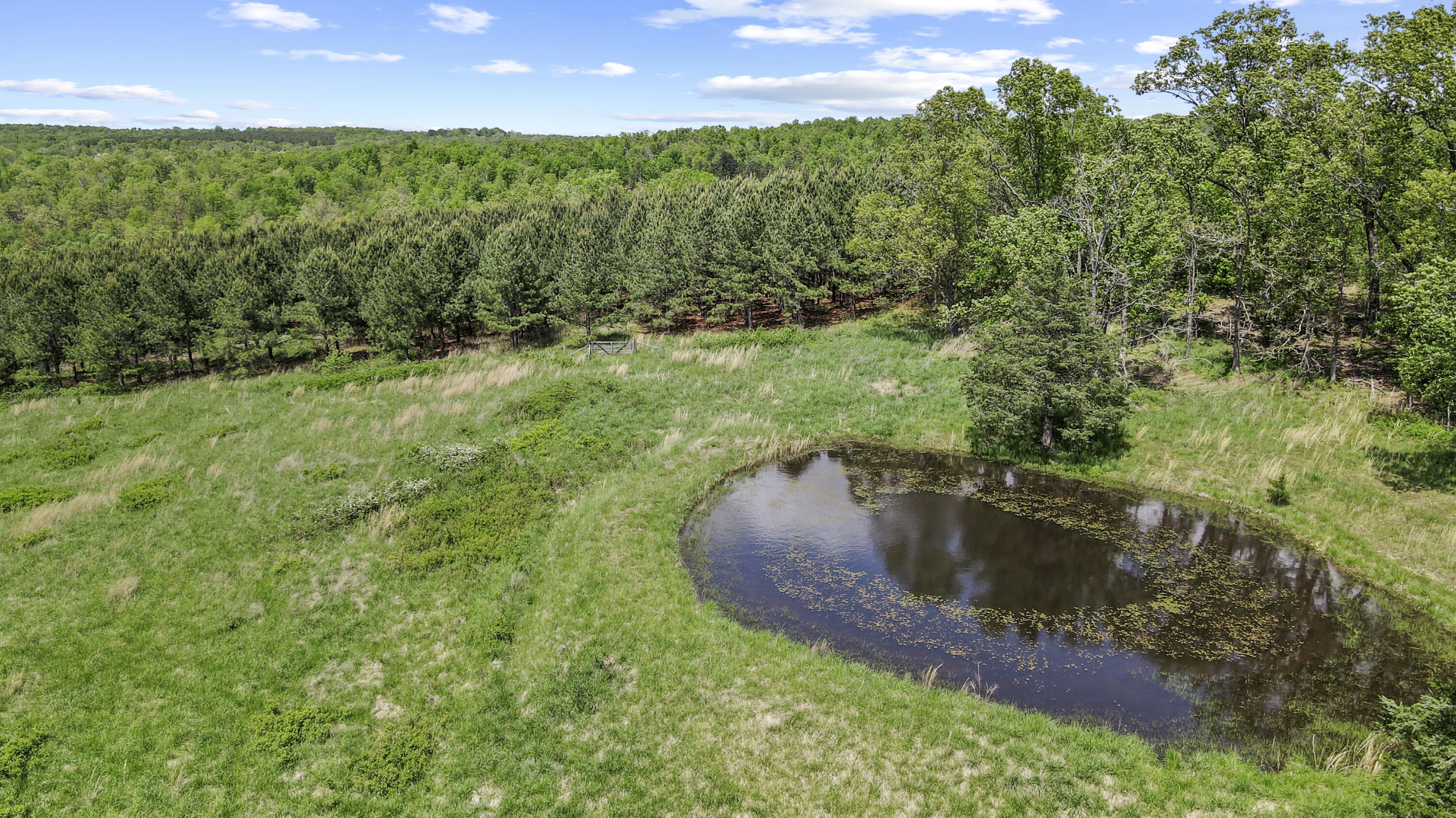 323 County Road 6720 Property Photo 4