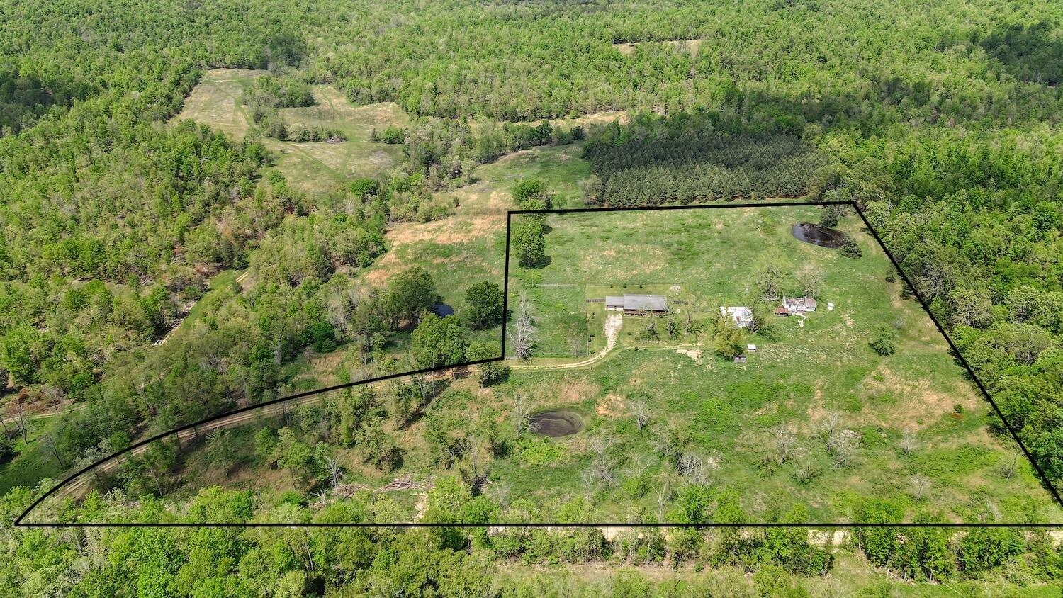 323 County Road 6720 Property Photo 19