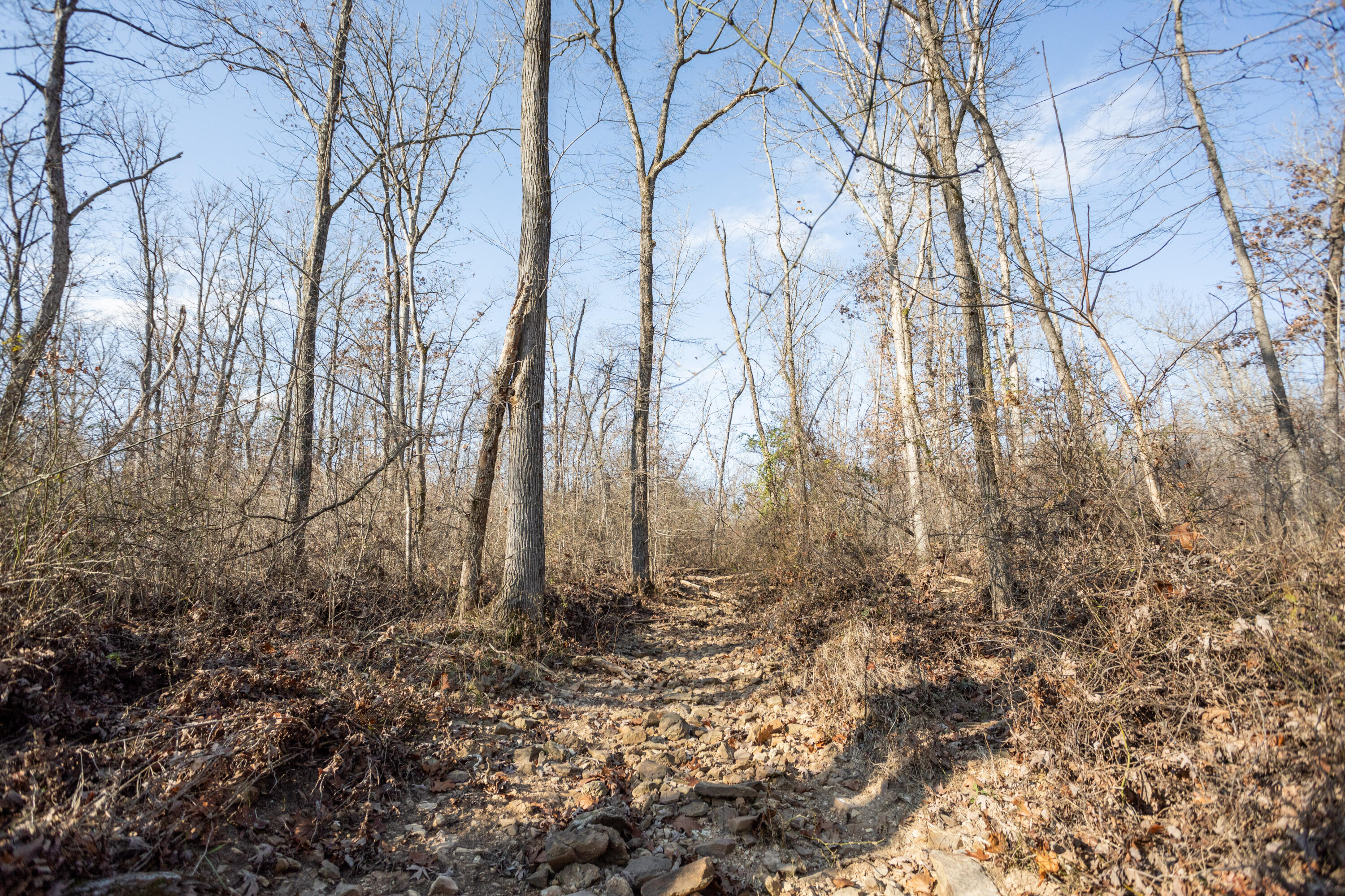 000 Emery Road Property Photo 17
