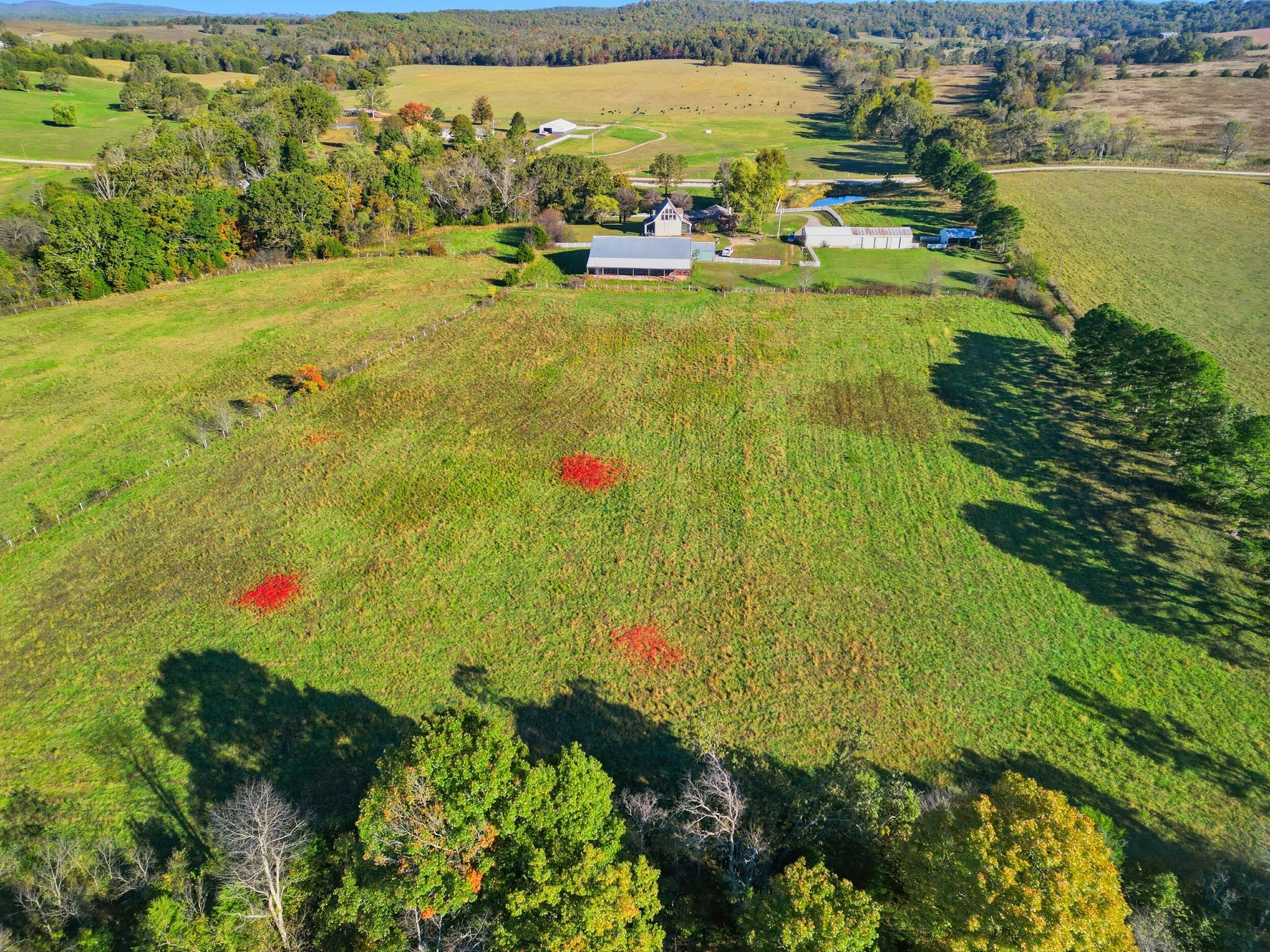 12182 State Highway Ee Property Photo 58