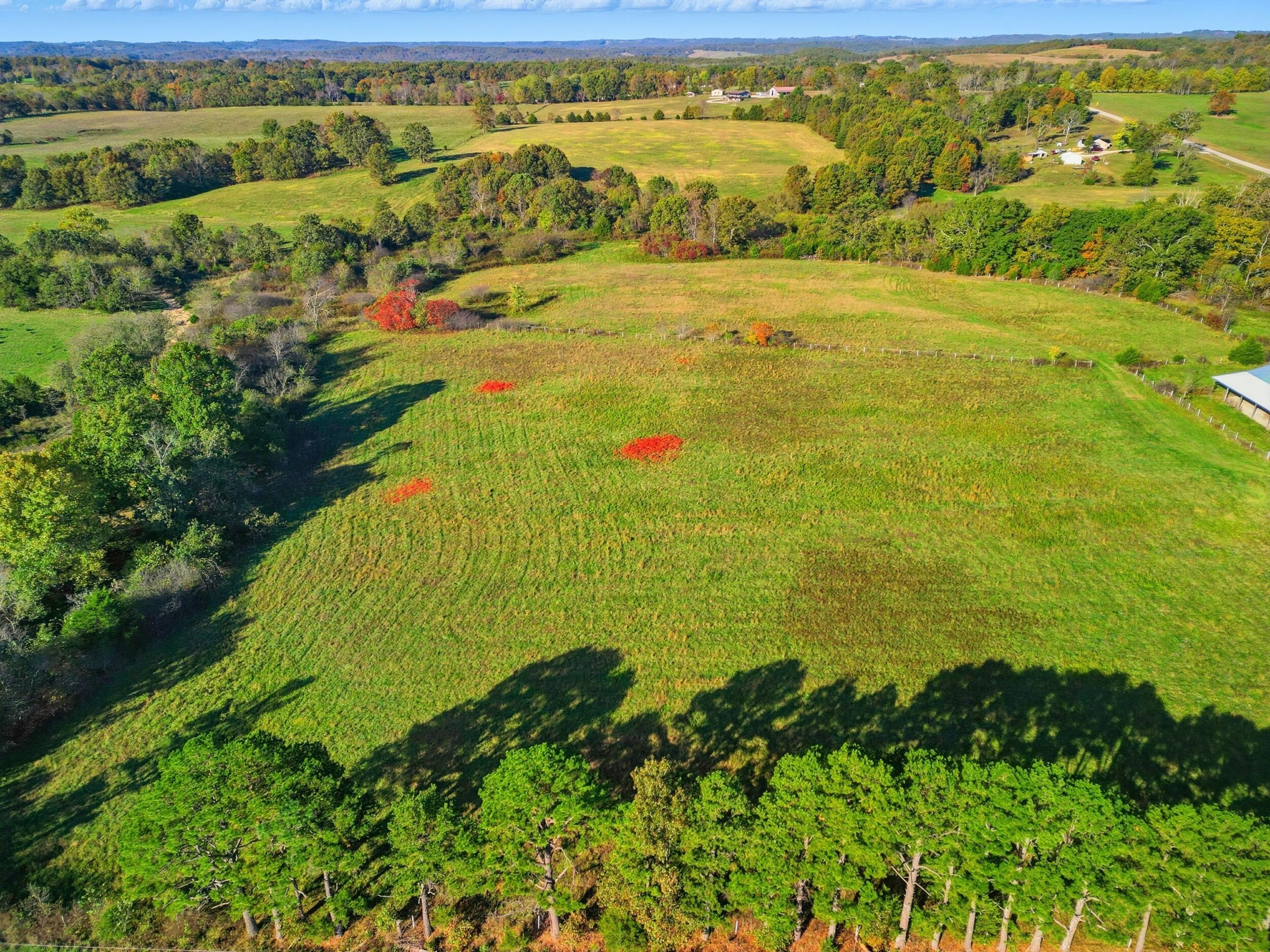 12182 State Highway Ee Property Photo 59